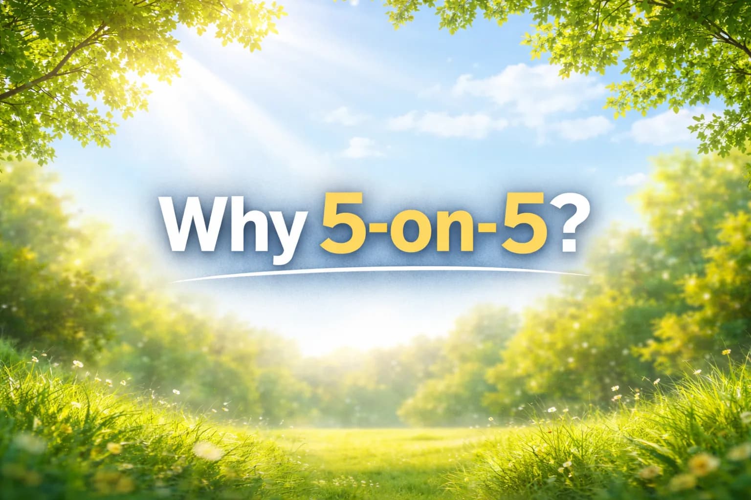 なぜ「5対5・固定メンバー2週」なのか？
